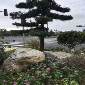 草坪石
