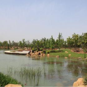 驳岸石