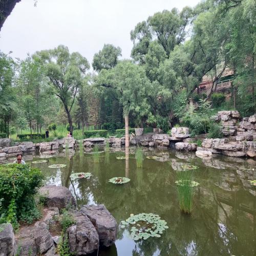 驳岸工程